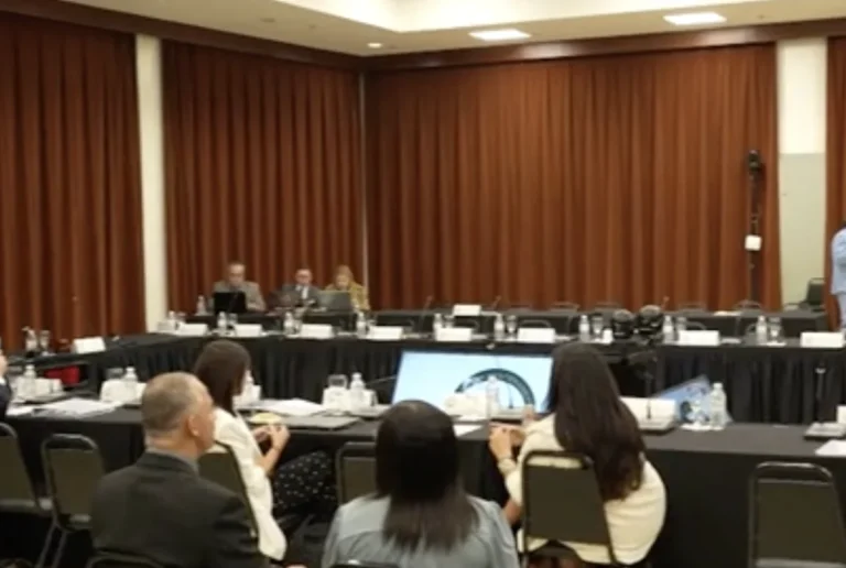 Vistas de Transición 2024.